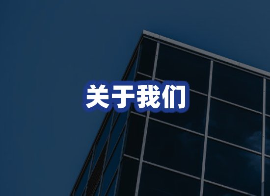 专业团队